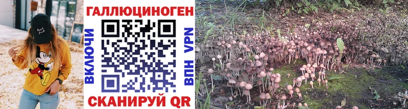 Псилоцибиновые грибы GOLDEN TEACHER  ОМГ ОМГ как зайти  Красный Холм 